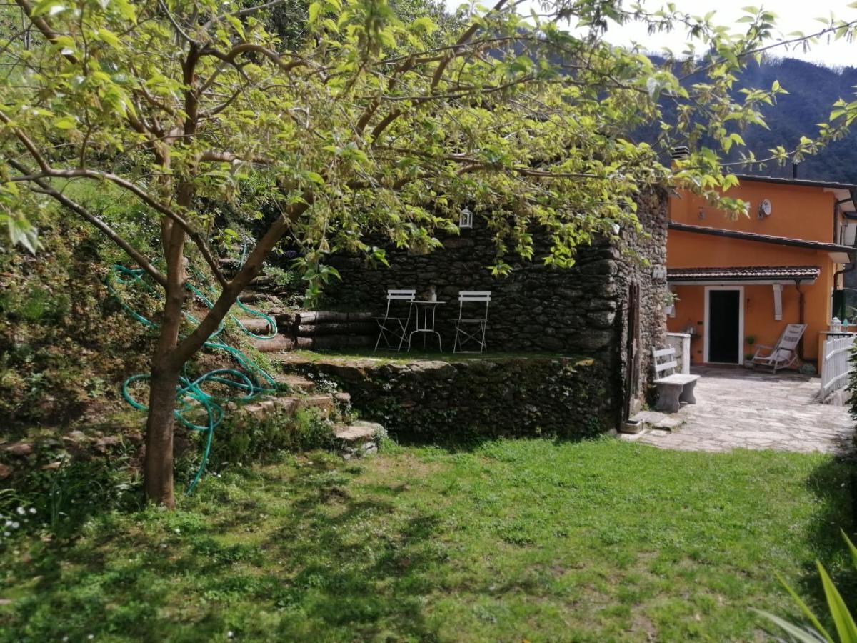 StazzemaIl Metato Di Gallena住宿加早餐旅馆 外观 照片